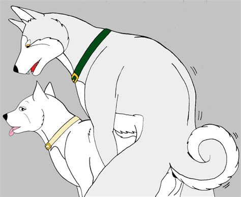 Rule 34 Akita Inu Canid Canine Canis Doggy Style Domestic Dog Duo