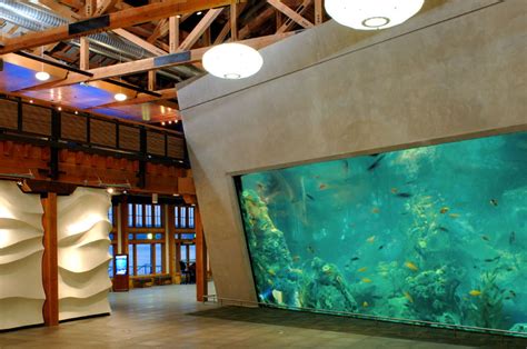 Seattle Aquarium Architizer