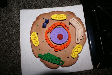 I would take a couple of approaches to modeling an animal cell using clay: Tyler's animal cell project that he made out of clay. | Flickr