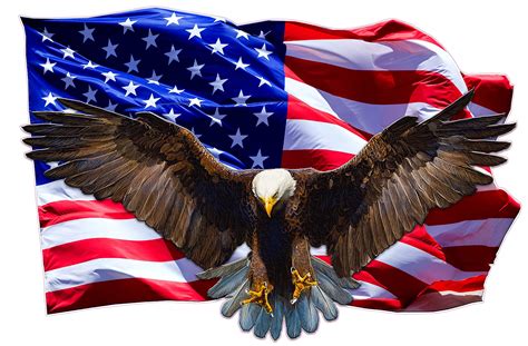 Top Imagen El Aguila De Estados Unidos Abzlocal Mx
