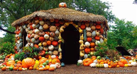 Cheekwood Harvest Including New Pumpkin House And Beer Garden Pumpkin