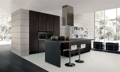 Modern kitchen cabinets are focused. Modern Kitchen Cabinets | European Cabinets & Design Studios