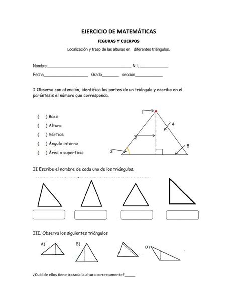 Altura de triángulos worksheet Partes de un triangulo Matematicas