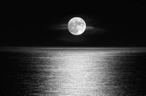 Download Black And White Moonlight Horizon Ocean Nature Moon 4k Ultra Hd