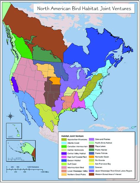Map Of North American Migratory Bird Habitat Joint Ventures Recognized