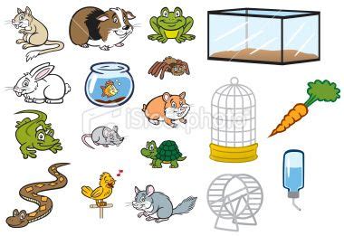 Find this pin and more on brownie activities by sarah buck. Pin on Store Theme