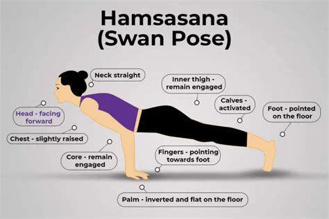 Hamsasana Swan Pose Steps Benefits And More Upashana Yoga