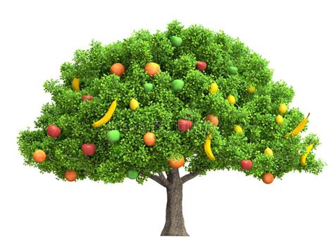 Find vectors of fruit tree. Rote Lokalisierte Illustration 3D Des Apfelbaums Stockbild ...