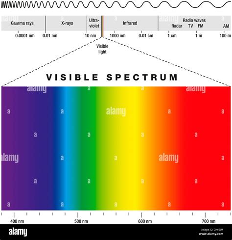 Electromagnetic Spectrum And Visible Light Stock Photo - Alamy