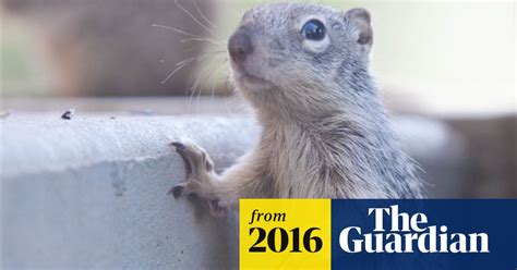 Squirrels And Swingers Colorado Man Defends His Passions After Police