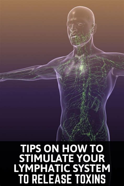 Tips On How To Stimulate Your Lymphatic System To Release Toxins