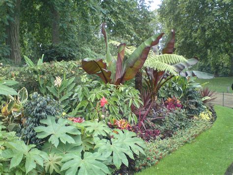 Tropical Planting Scheme In St James Park London Tropical