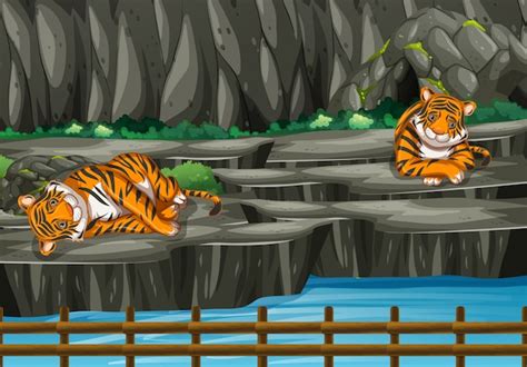 Escena Con Dos Tigres En El Zoológico Vector Gratis