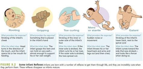 Image Result For Reflex Images Infants Newborn Assessment Pediatric