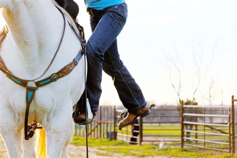5 Easy Steps To Mount A Horse Safely