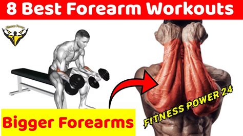 8 Best Forearm Workout With Dumbbells Youtube