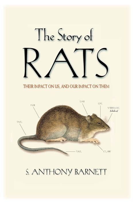The Story Of Rats S Anthony Barnett 9781865085197 Allen And Unwin