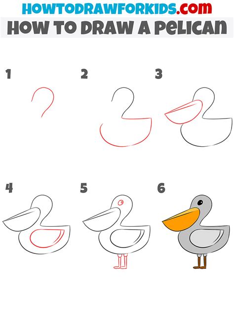 How To Draw A Pelican