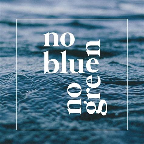 No Water No Life No Blue No Green Ocean Royalty Sylvia Earle