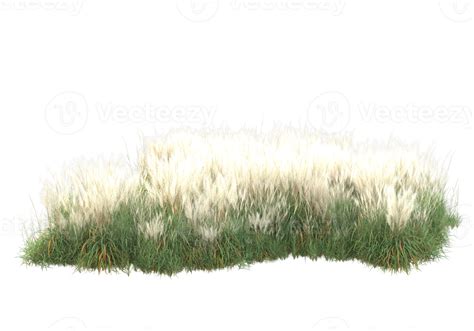 Grass With Flowers Isolated On Transparent Background 3d Rendering