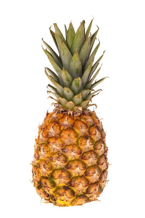One Whole Pineapple Fruit Stock Photo Image Of Isolated 28920096