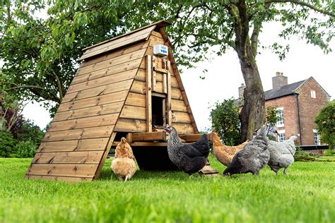 The Best Chicken Houses And Coops Complete Guide Chickenguard