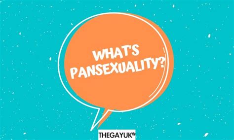 What Does Pansexuality Mean Who Is Pansexual Thegayuk