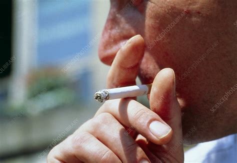 close up of man smoking stock image m370 0143 science photo library