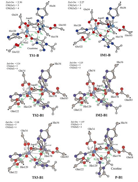 Dft Optimized Structures Of Transition States Intermediates And