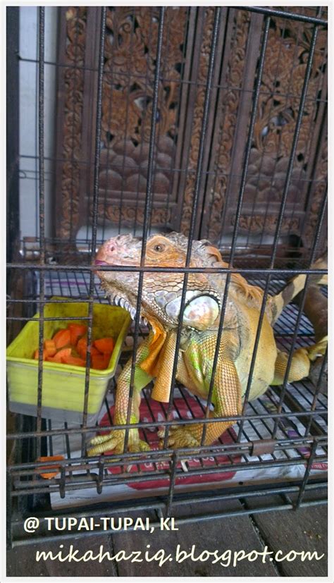 Sesuai untuk mereka yang nak sarapan. mikahaziq: Makan Tengahari di Tupai Tupai Kafe, KL