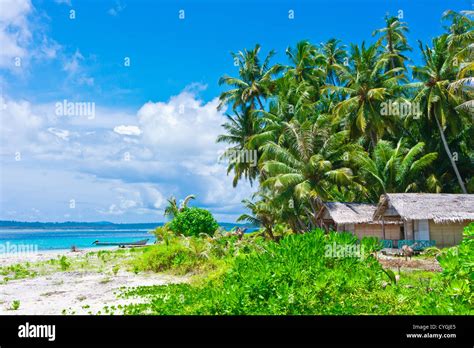 Tropical Island Landscape With Huts Stock Photo Alamy