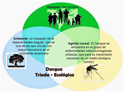 Triada Ecológica Triada Ecológica Del Dengue