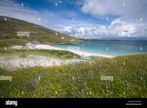 Beach Scene On Vatersay Barra Outer Hebrides Stock Photo Alamy