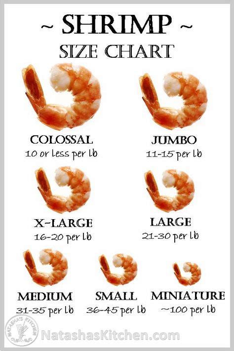 Handy Shrimp Size Chart Great Reference For Recipes How To Peel