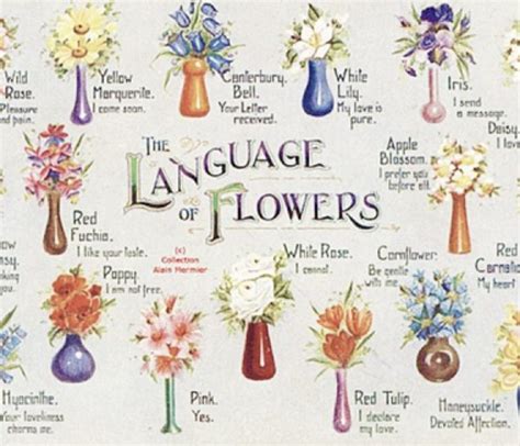 Floriography The Secret Language Of Flowers In The Victorian Era