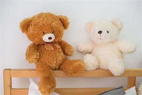 Teddy Bear Bed Images Search Images On Everypixel