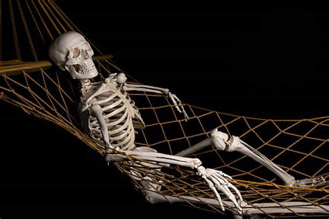 The skeletal system provides the structural support for the human body and protects our organs. Top 60 Skeleton Lying Down Stock Photos, Pictures, and ...
