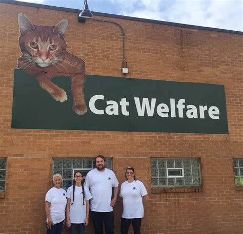 Cat Welfare Association Best4pets
