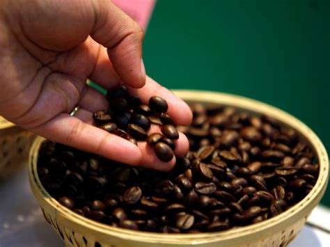 About The Best Coffee Beans Brazil Coffee Facts