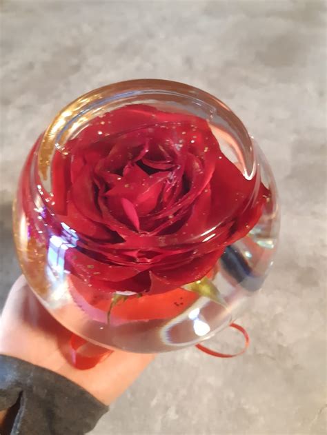 Real Preserved Rose In A Water Glass Globeinfinity Etsy