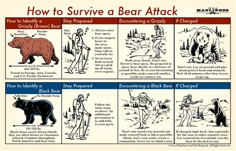 How To Survive Bear Attack The Art Of Manliness