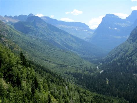 Se Texas Birding And Wildlife Watching Glacier National Park Montana