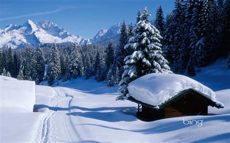 Free Download Bing Wallpaper And Screensaver Pack Winter Die Kalte