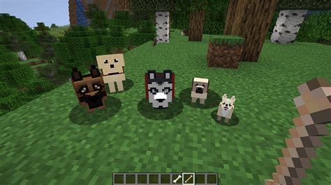 More Dogs 1152 Minecraft Mod Download