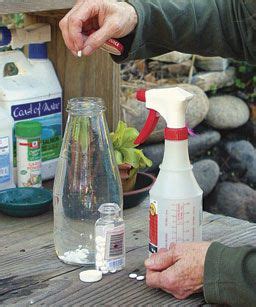 For a discussion of the disease and its control, see page 44. 35 Easy Solutions to Rid Plants of Pests and Disease ...