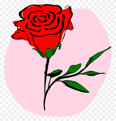 Graphic Rose Flower Vector Png Amashusho Images