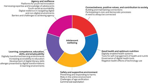 Empowering Digital Competence In Adolescents And Young Adults For A