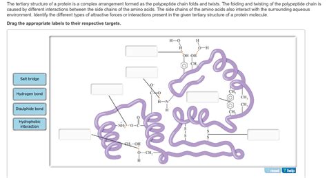 Session 8 urinary pdf s. Solved: PART A The Tertiary Structure Of A Protein Is A Co ...