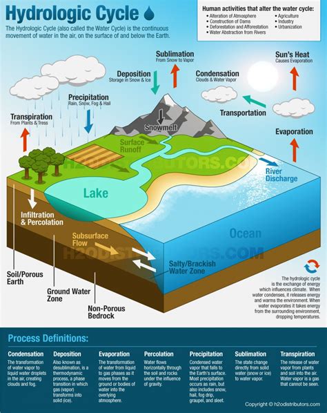 The Water Cycle Infographic Year 7 Geography Pinterest Cycling