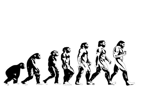 Human Evolution Wallpapers Top Free Human Evolution Backgrounds